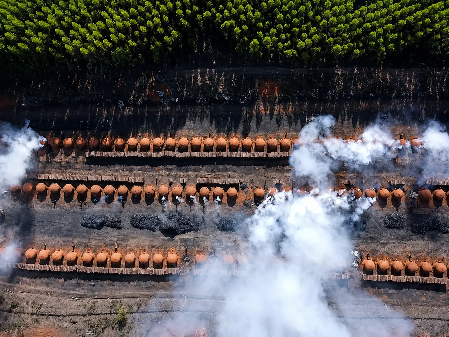 Fornos de carbonização e pátio de madeira